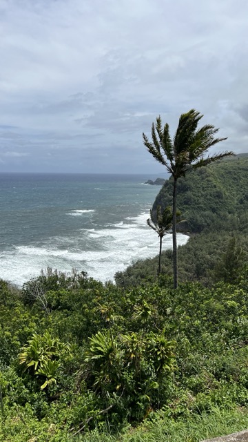 Pololu Valley Lookout